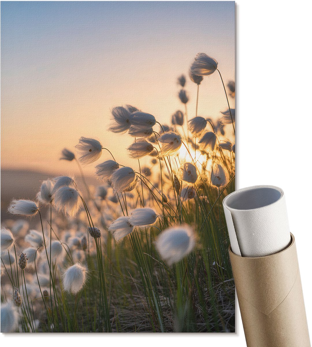 Coloray Polycanvas Wandposter - Bloemen In De Hand, Fotografie - A3 - Wit Decoratie - Rechthoek - Canvasposter - Woonkamer, Slaapkamer, Kantoor - Klassiek