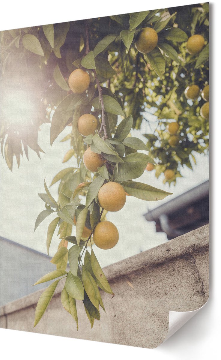 Coloray Polycanvas Wandposter - Zomerfruit, Fotografie - 594 x 840 - Groen Design - Rechthoek - Canvasposter - Woonkamer - Rustiek