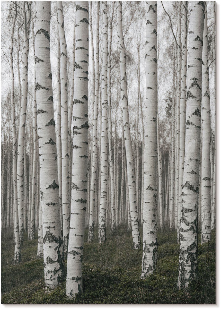 Tulup Polycanvas Poster - Winterafdaling, Wit - A4 - Zwart-wit Wandposter - Rechthoek - Muurdecoratie - Woonkamer - Klassiek