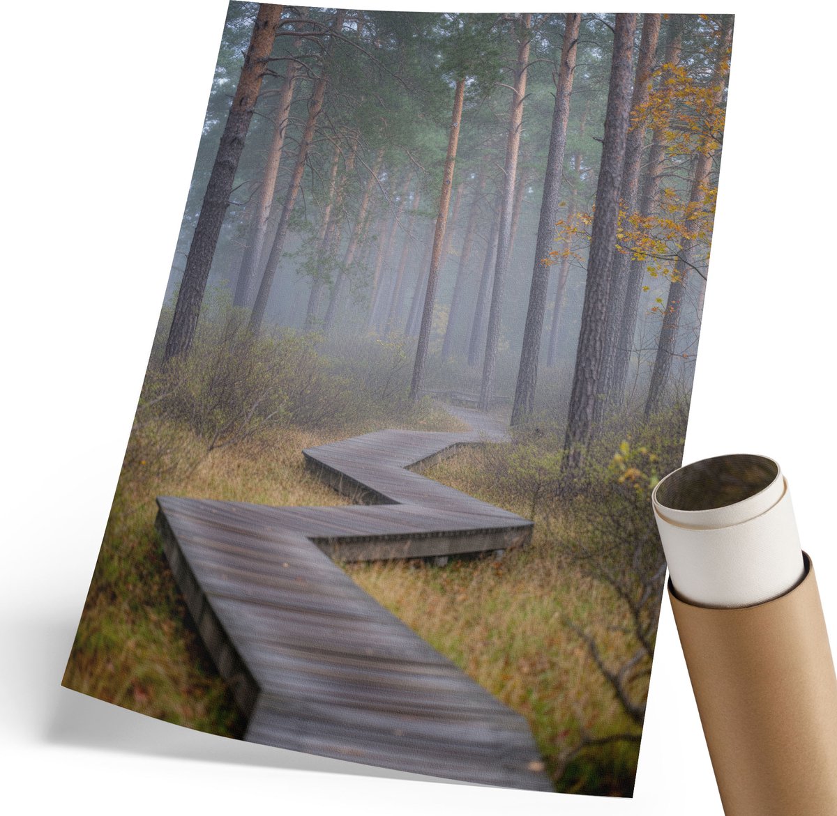 Coloray Canvas Poster Polycanvas - Bospad, Fotografie - 210 x 297 mm - Groen Poster - Rechthoek - Wandkunst - Woonkamer, Slaapkamer, Kantoor - Klassiek