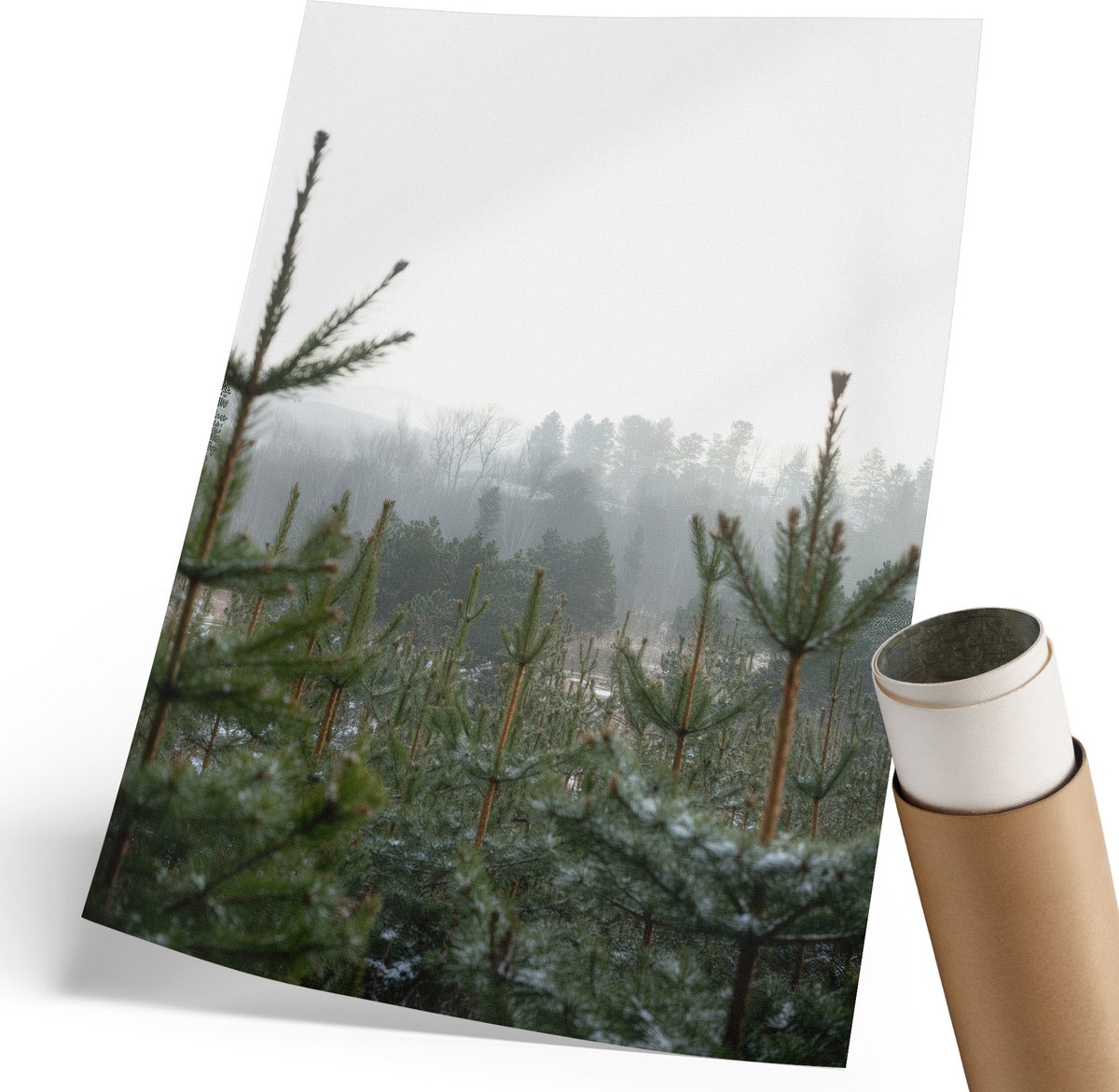 Coloray Polycanvas Wandposter - Asche, Bruin - 210 x 297 mm - Groen Poster - Rechthoek - Interieurdecoratie - Kantoor - Klassiek