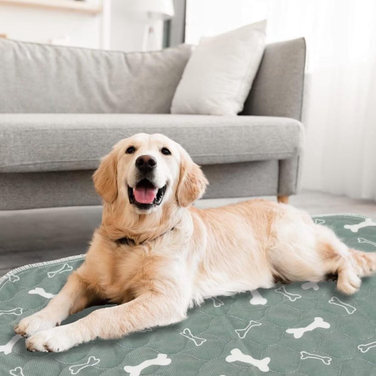 Wasbare Trainingsmatten voor Honden en Katten, Herbruikbare Puppy Training Pads, Antislip en Absorberende Inlegmat (90x80cm, 1 Stuk) L-Grijs