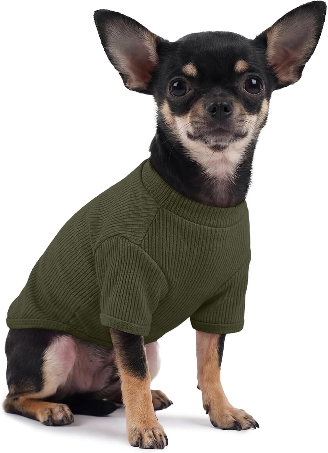 Hondentrui voor kleine honden, licht geribbeld gebreid T-shirt voor chihuahua, dwergspitse en Yorkshire Terrier, elastisch en zacht hondenshirt, dagelijks gebruik en overgangsperiode, mosgroen