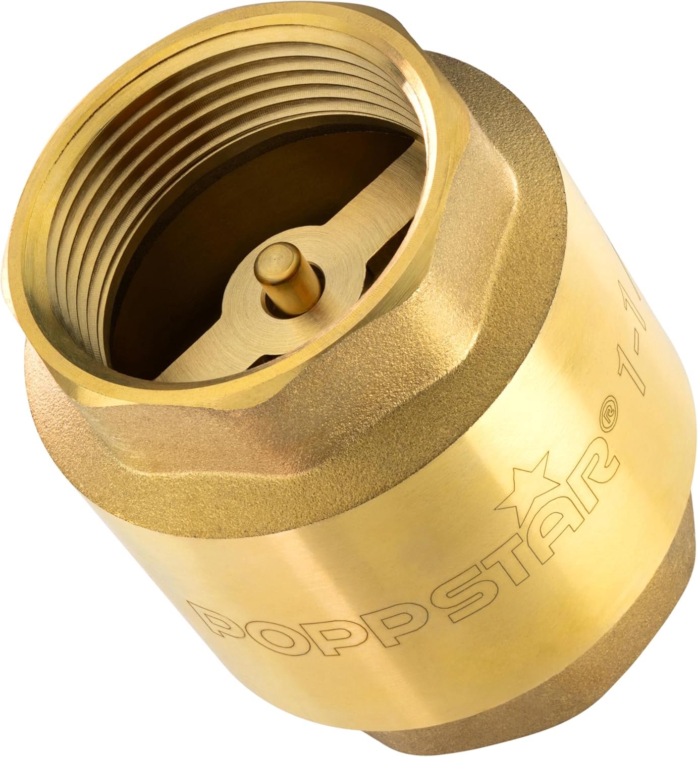 Terugslagklep 1 1/4" Messing, Waterdicht & Roestvrij