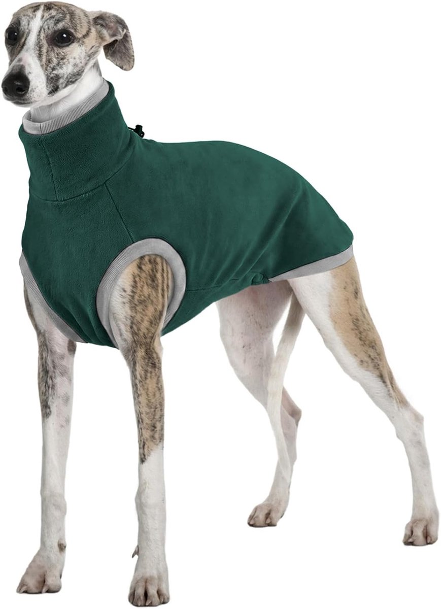 Trui, Salukis jas Lurcher pyjama windhond jas hond trui coltrui windhond jas met benen warm vest (groen, 2XL)