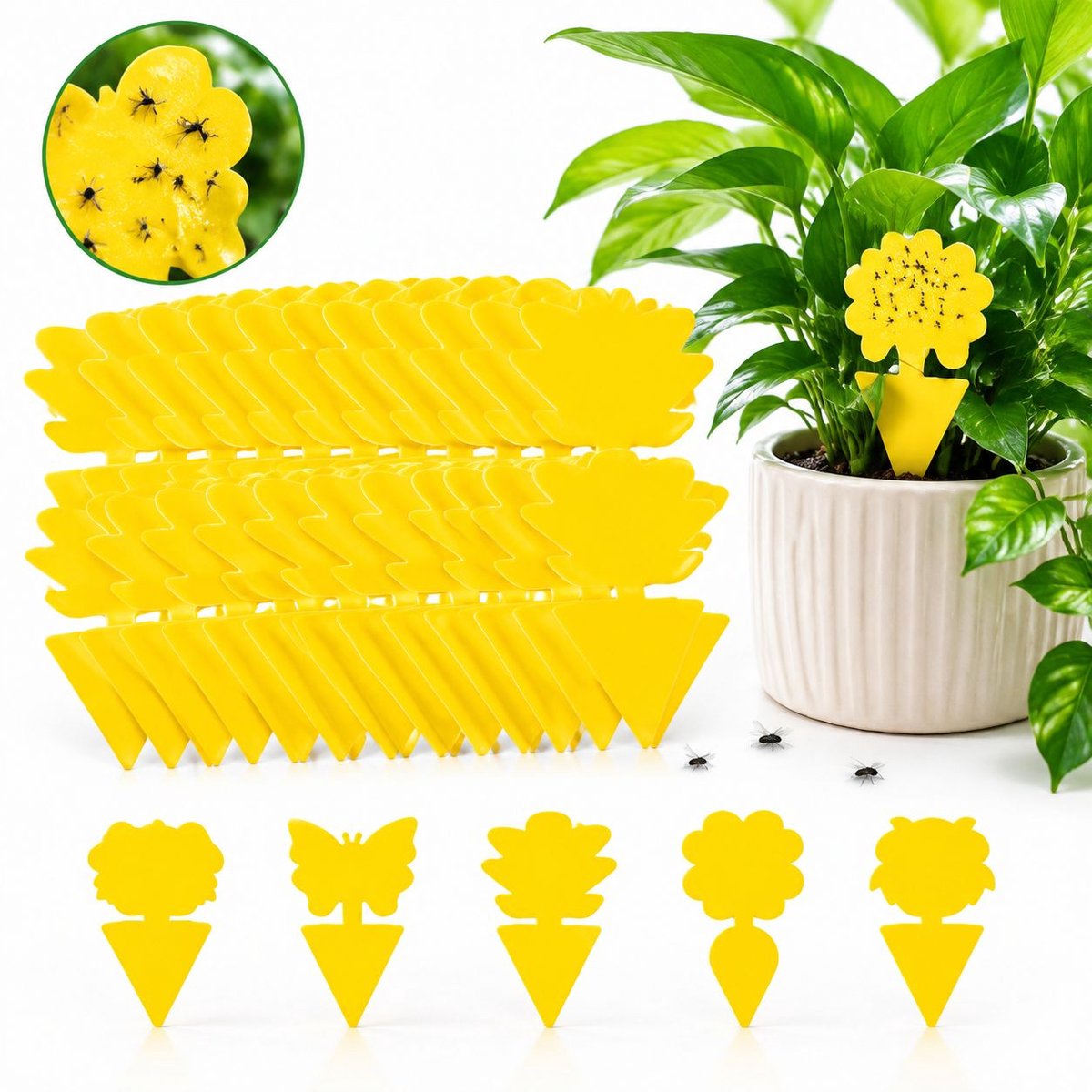VHV - Vliegenvangers plakstrip 100 stuks - Rouwvliegjes Bestrijden - Vliegenval - Vangplaten - Fruitvliegjes vanger - Plak Klavertjes Tegen Rouwvliegen - Milieuvriendelijk en Veilig - Voor binnen/buiten, keuken en planten