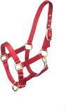 Rood halster met gouden gespen en clipsluiting.