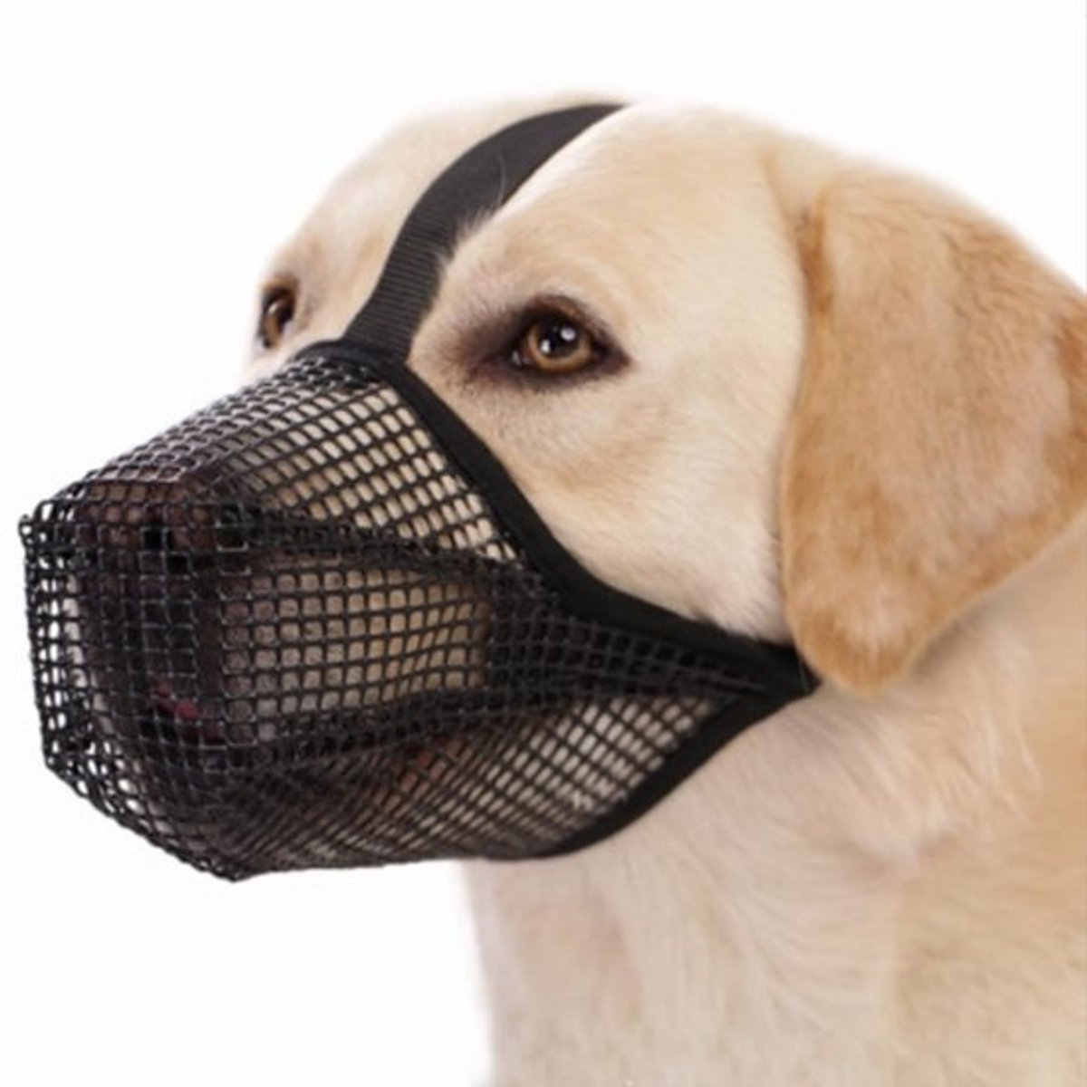 Cosensi - Dailygoods - Dailygoody - Muilkorf voor honden - Ademend en Comfortabel - Verstelbaar formaat L - Mesh Hondensnuit - Geschikt voor Kleine Medium Grote Honden - Zac