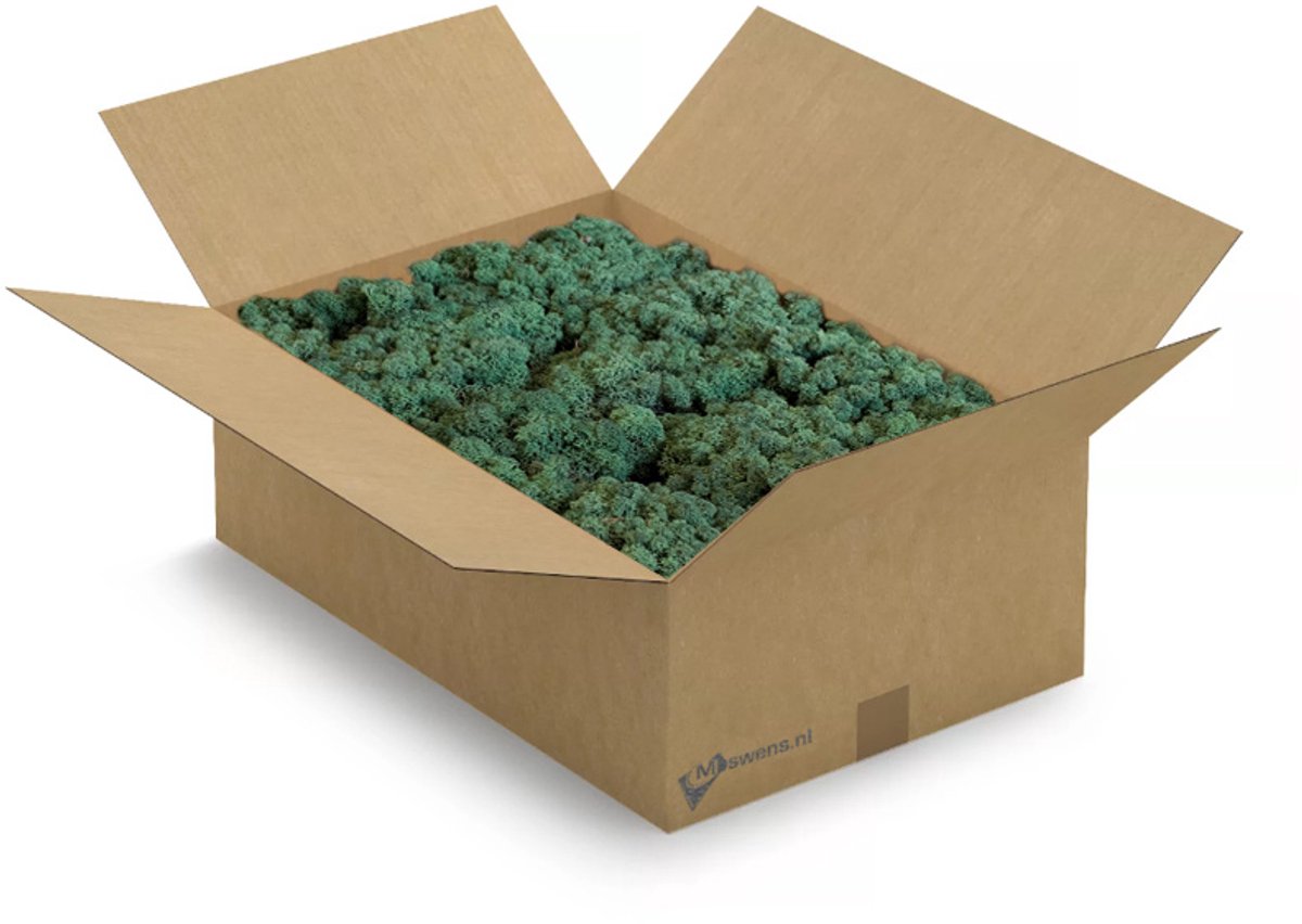 Moswens Rendiermos - XL - 400 gram - Doos Mos - Rendiermos - Forest