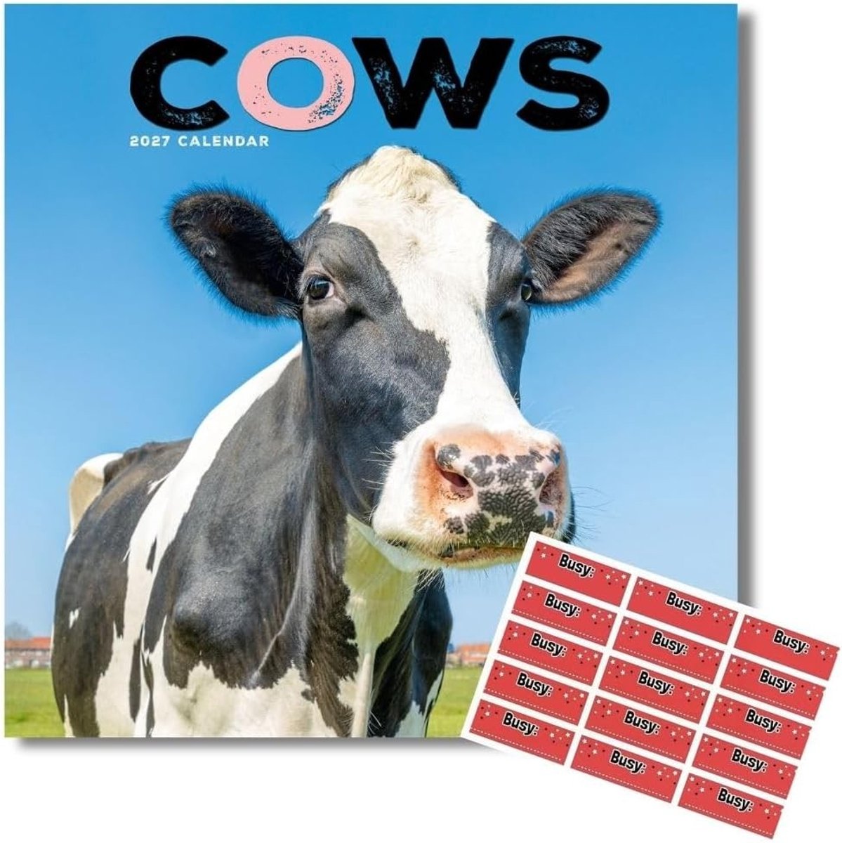 Familieplanner - Vierkant - 29,5 x 29,5 cm - 16 Maanden Kalender met Organisatiestickers - Wandkalender met Koeienfoto's