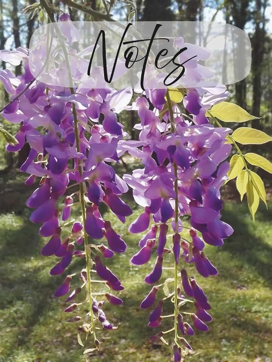 Wisteria Notebook