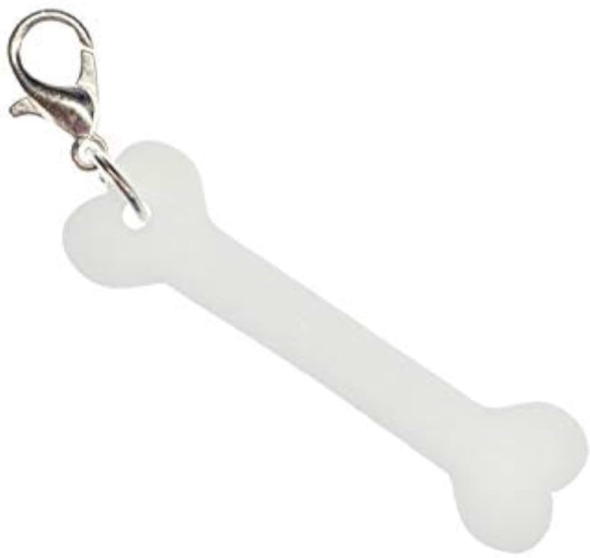 Bedelhanger bedelarmband hondenbotje hond dog acrylglas