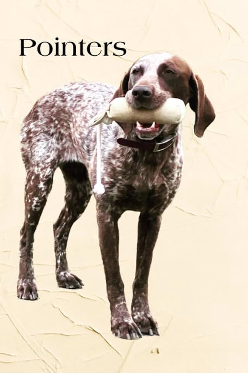 Pointers