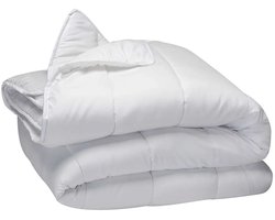 BioClean 4-seizoenen Dekbed Wasbaar - 240x220 - Lits-jumeaux (240)