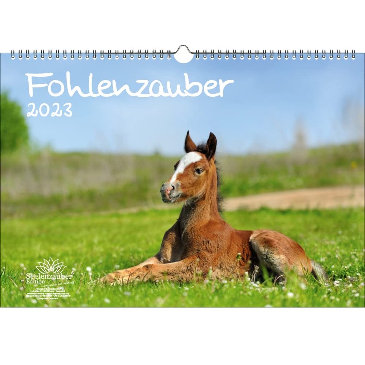 Elzusha - Wandkalender 2023 - A3 formaat - Paarden en veulens
