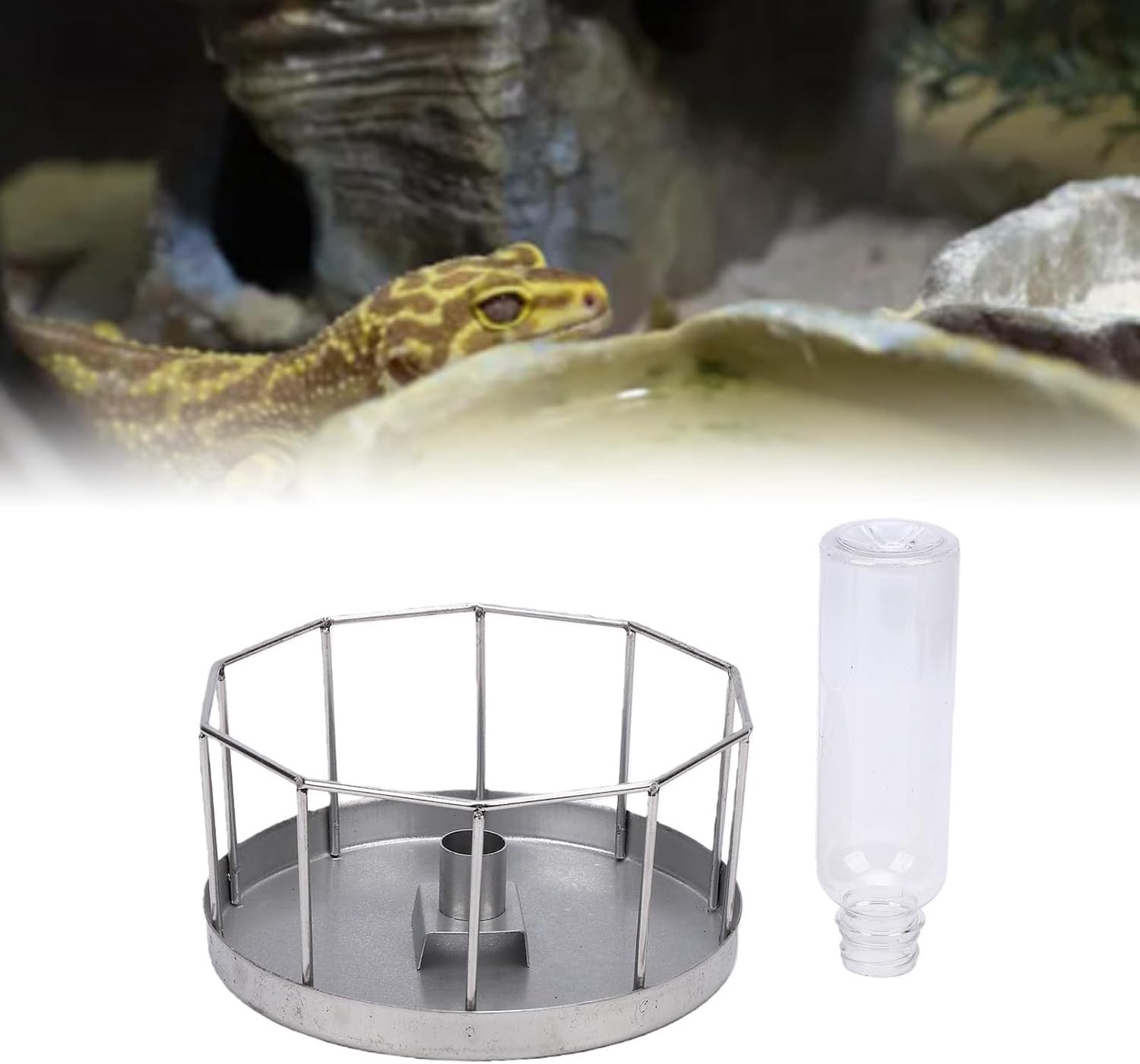 Voerbak voor Schildpadden, Terrarium, for (Small)