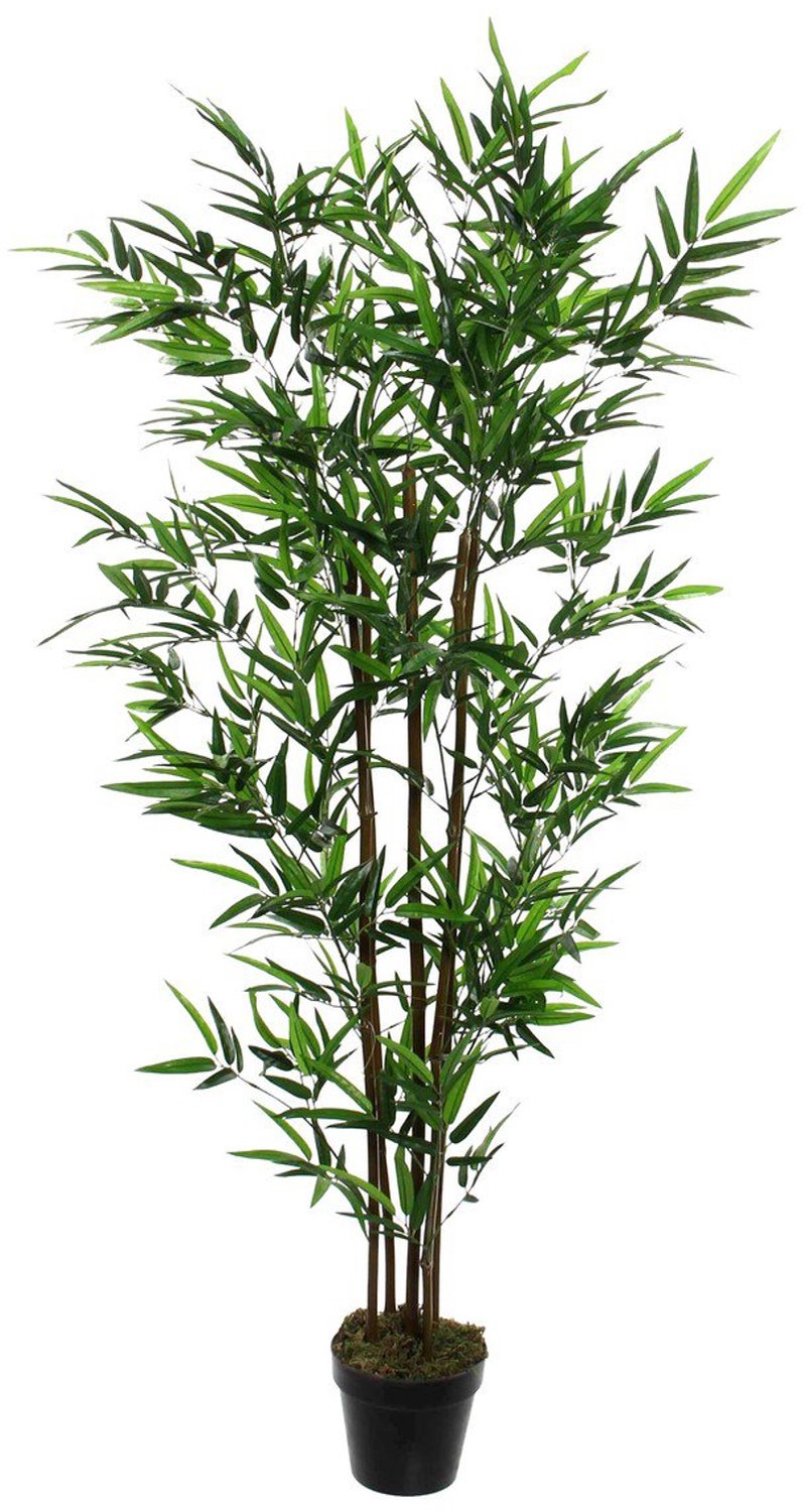 Kunstplant Groen