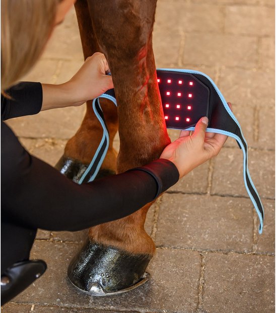 Iemand plaatst een zwart infrarood flexpad met lichtblauwe rand op het been van een bruin paard.