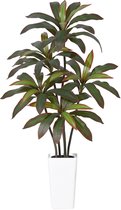 Kunstmatige Dracaena Plant 150 cm – 5 Takken & Meerstammige Stam – Met Witte Pot & Zijden Bladeren – UV-bestendig & Onderhoudsvrij – Voor Woonkamer, Kantoor, Hal & Overdekt Buiten