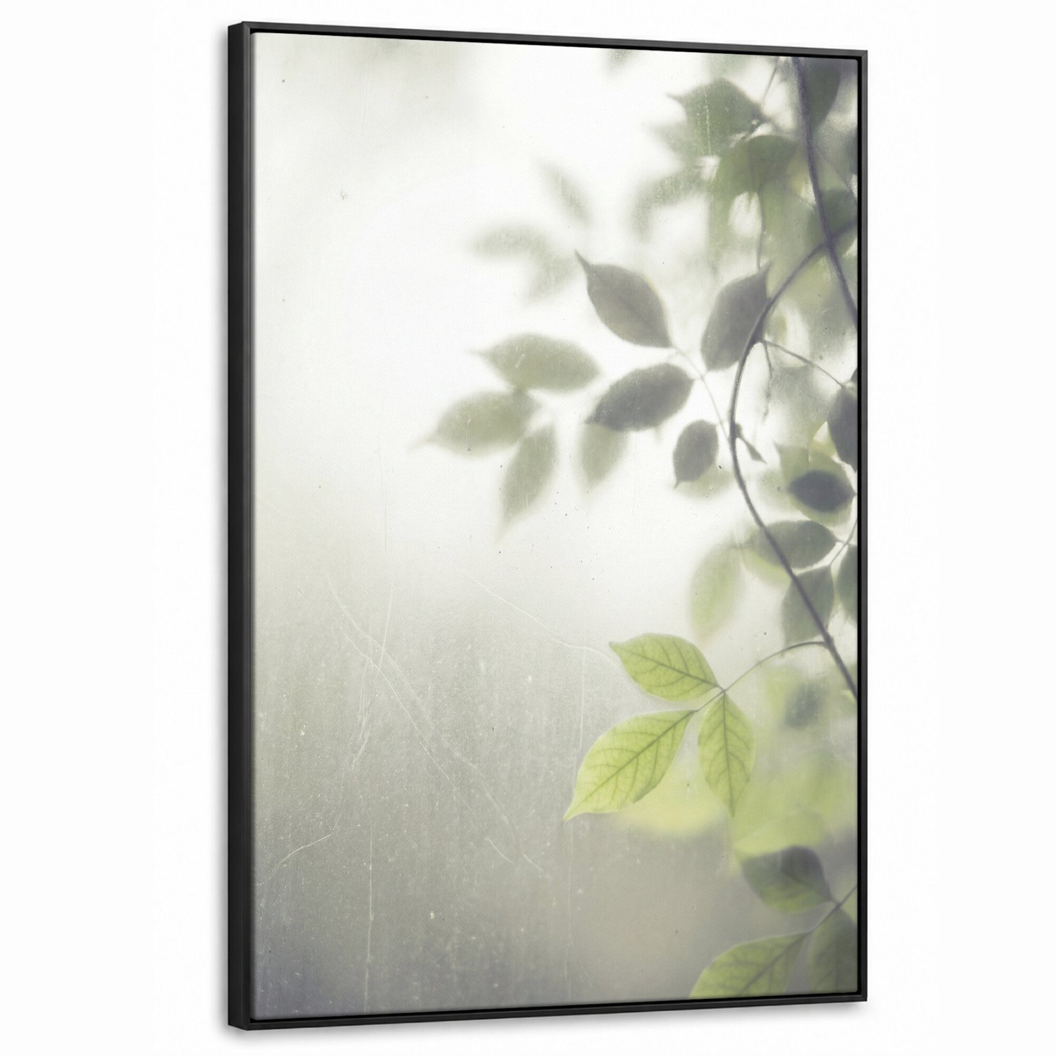 Canvas Schilderij met Baklijst - Blad - Schaduw - Natuur - Abstract - Groen