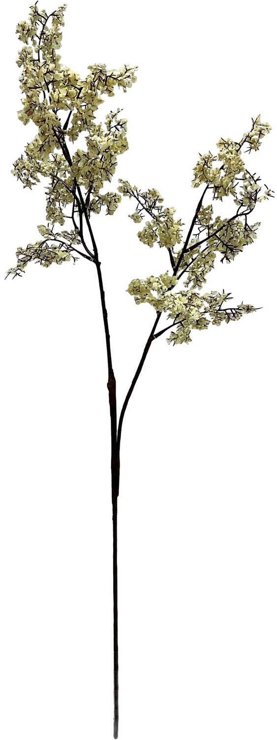 homebound by ky Kunsttak Vlierbessen 86cm off-white Beige