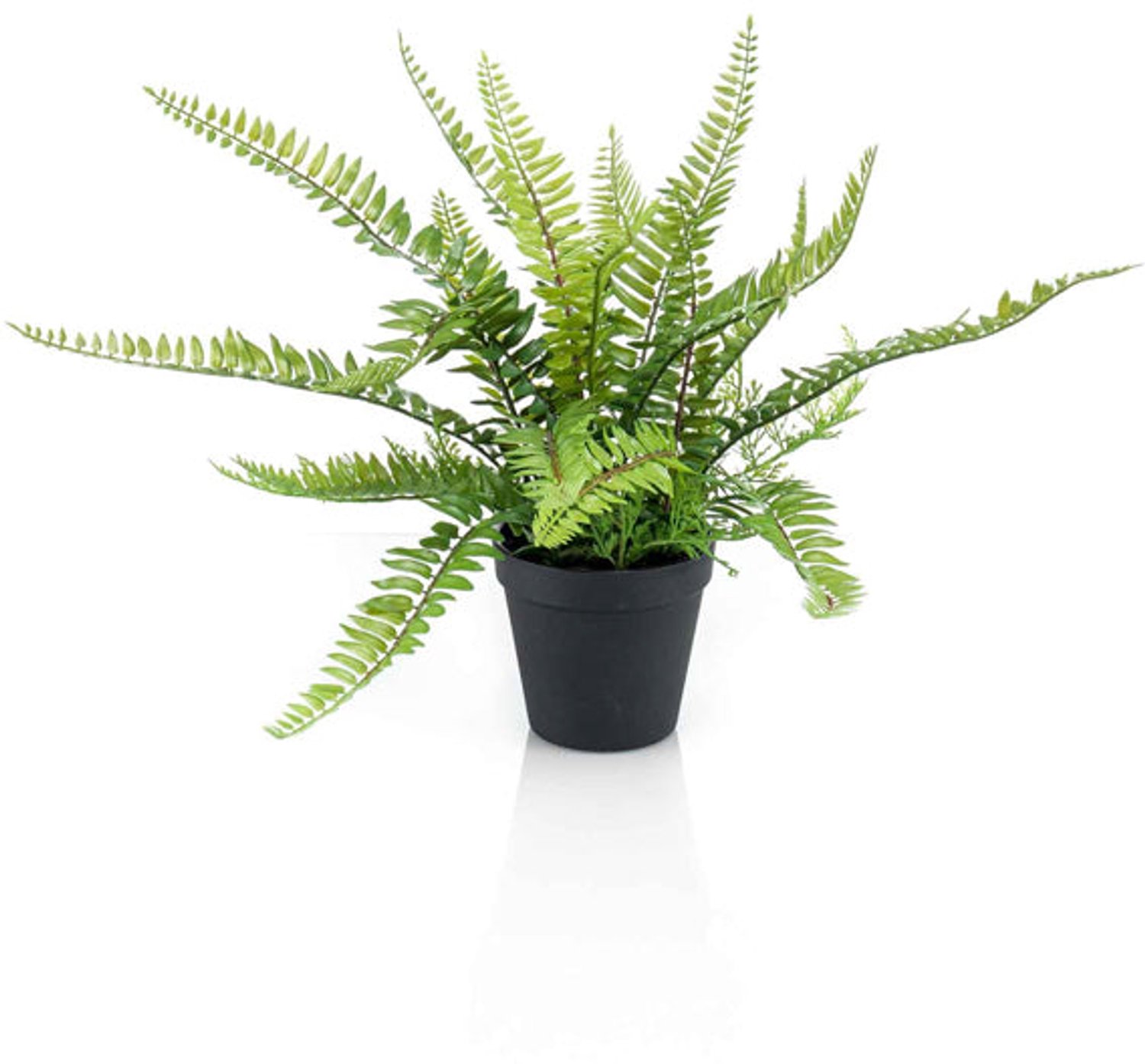 Emerald Kunstplant in pot Varen struik 35cm - Kunstplant voor binnen Groen