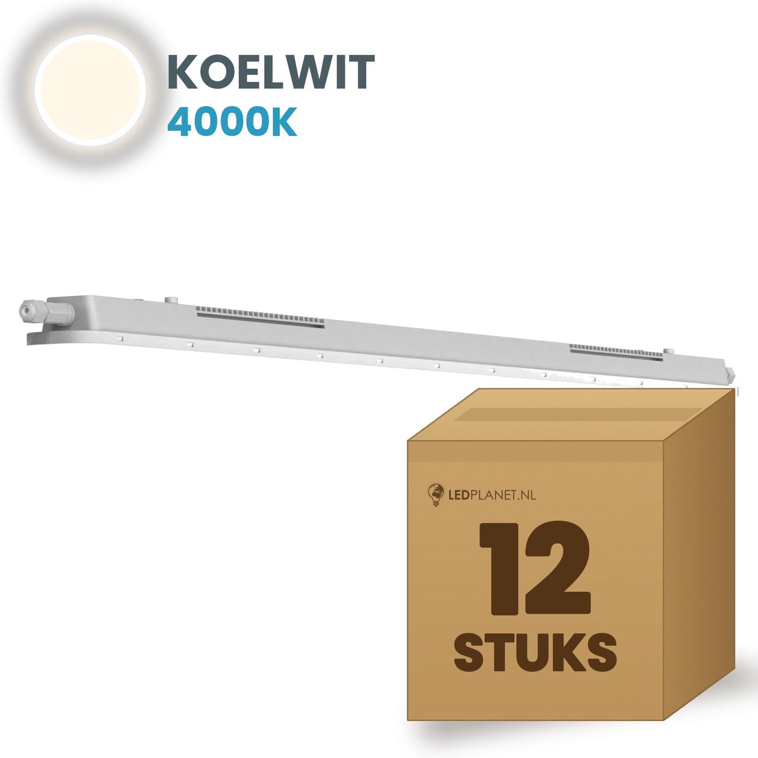 Tsong TL armatuur Tri Proof 600mm 12 stuks - 18W 2790lm - Koelwit 4000K - Koppelbaar - IP65 - 230V