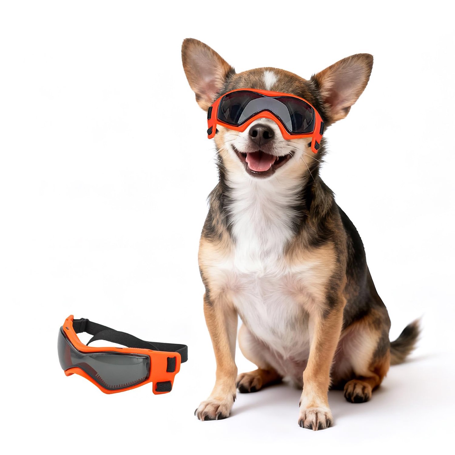 Zonnebril voor Honden van Extra Kleine Rassen