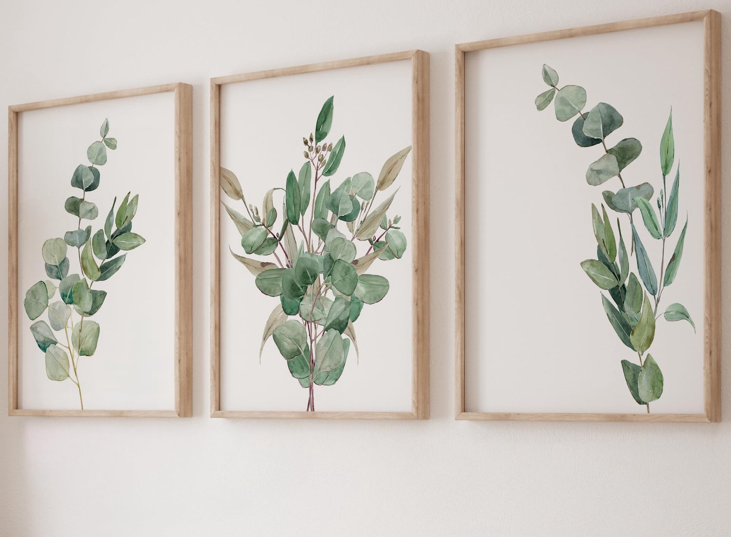 Set van 3 Eucalyptus Botanische Wandprints A4