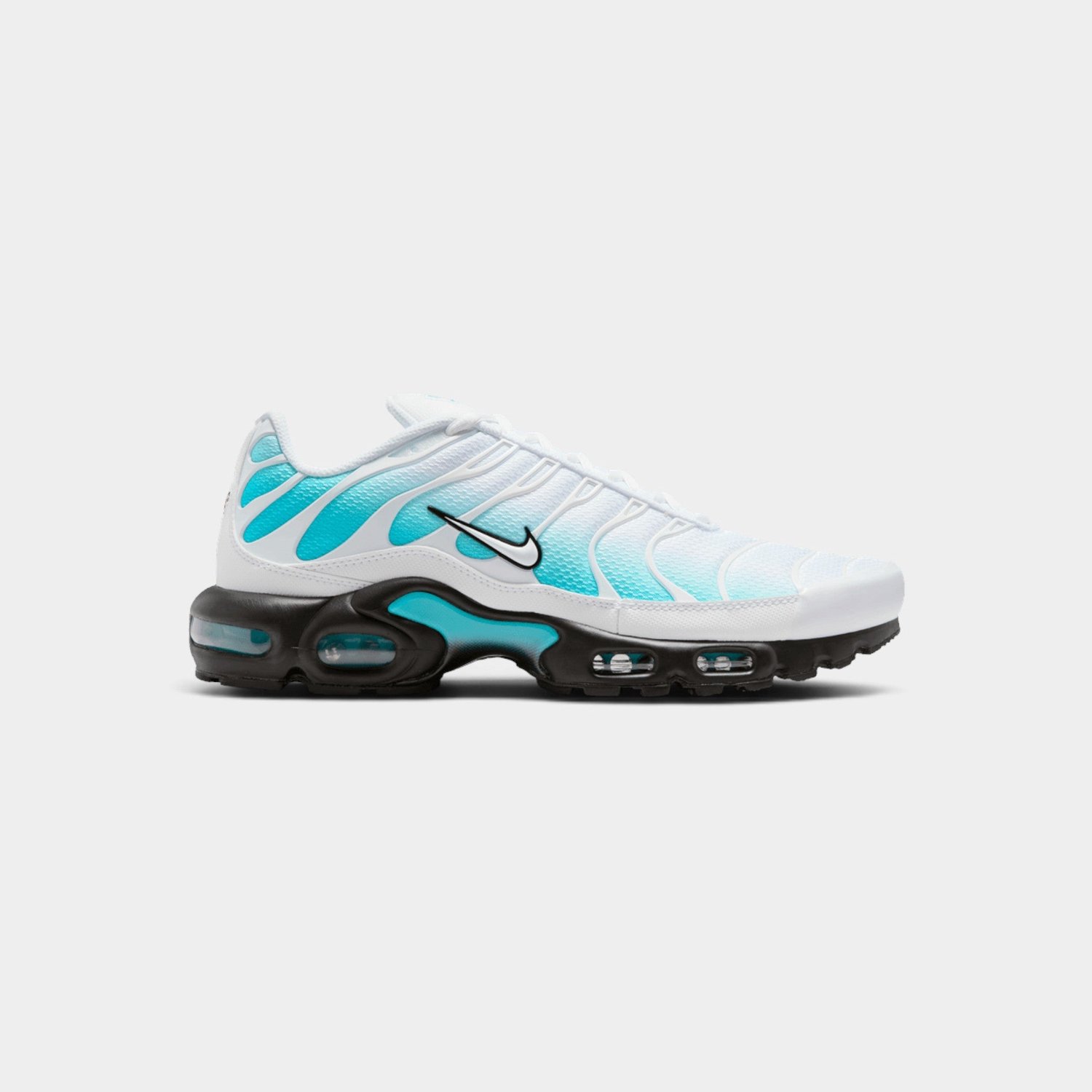 Nike Air Max Plus Dusty Cactus Wit