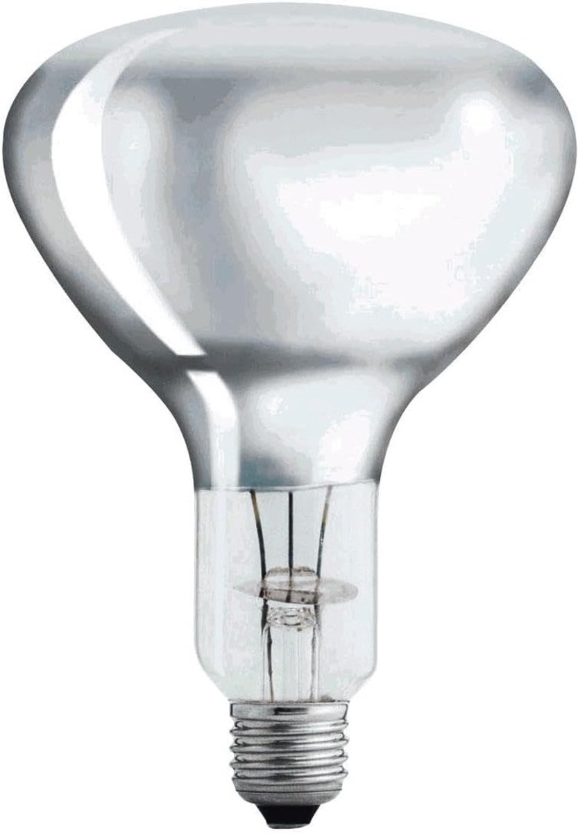 250w wit Hard Glas Philips
