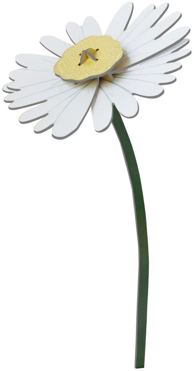 Bloem - Daisy