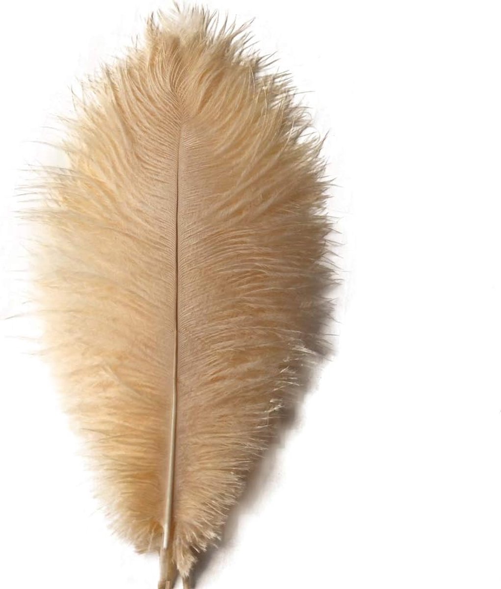 Veren pluim van 25-30 cm voor bruiloft tafelmiddelpunten. Woondecoratie (champange)