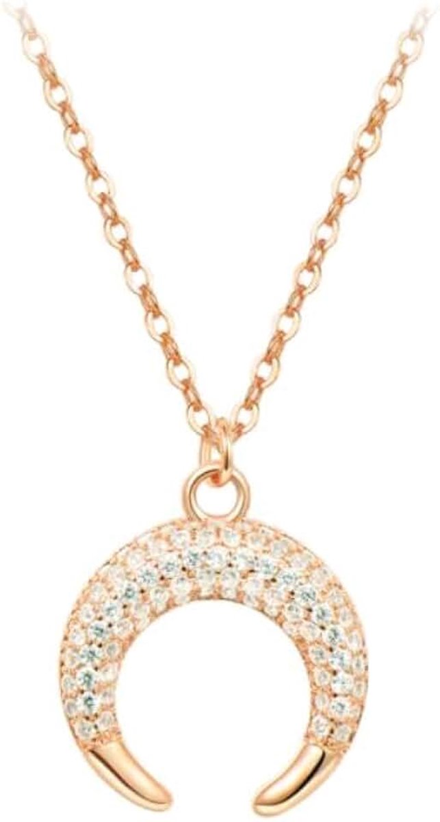 Edelstaal Dames Ketting met Maan Zirkonia Hanger