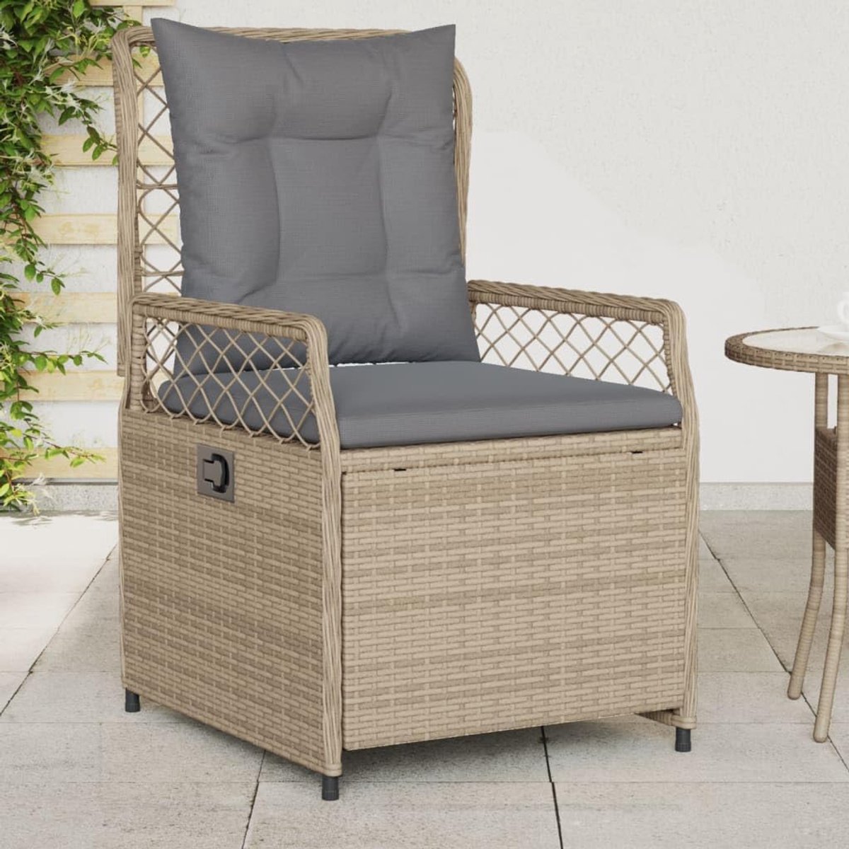 Tuinstoel, rotan stoel, tuinstoel, stoel, tuin, eetstoel, tuinstoel, terrasstoel, loungestoel, tuinmeubelen, tuinstoelen, balkonstoel, 2 stuks, verstelbaar, beige polyrotan