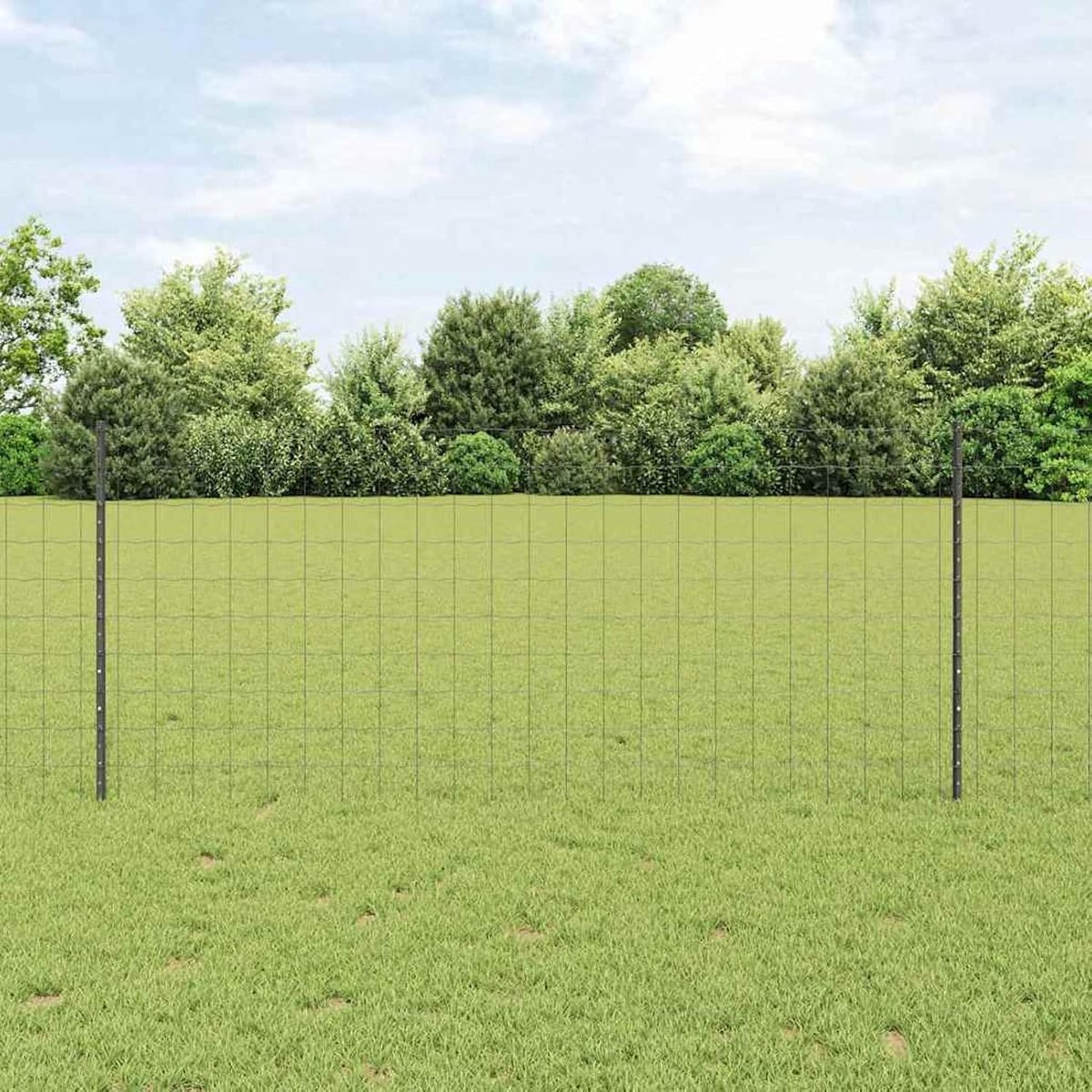 Tuinhekset, set van 2 grijs gepoedercoat staal, 10 x 1 m, hekstangen, metalen palen voor draadhekken, tuinhek, kippenhok, wilgenhek buiten, 3336089