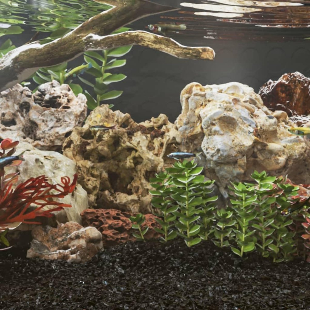 Drakenstenen, 25 kg, gemengde kleuren, 10-30 cm, decoratieve steen voor aquarium, decoratieve stenen, drakensteen