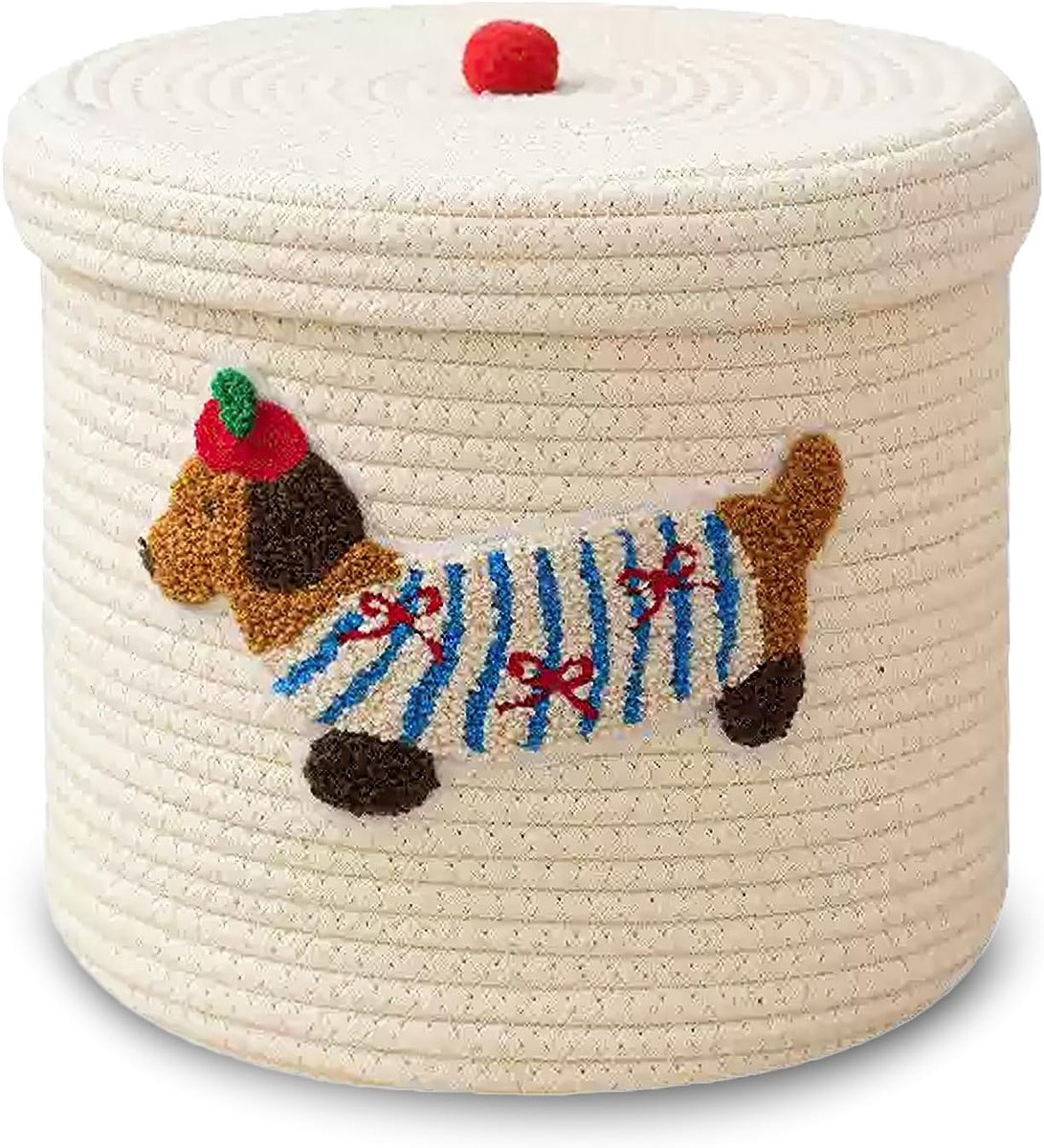 Hondenopbergmand van katoenen touw met deksel, 25 cm x 25 cm x 21 cm geweven opbergbak, stofdichte speelgoedorganizer met grote capaciteit, decoratieve wasmand voor woonkamer, kinderkamer