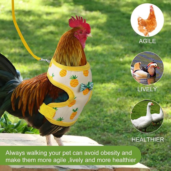 2 stuks verstelbare Halloween kippenharnas en riem set comfortabel elastisch kippenvest ademend harnas voor kippen eend gans huisdier training wandelbenodigdheden (ananas, aardbei, medium) — afbeelding 5