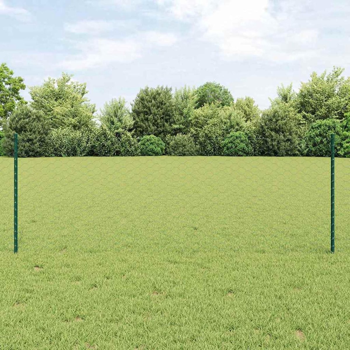 Hekpalen, 5 stuks, U-kanaal, groen, 80 cm, staal, zeshoekig gaas, groen, 0,8 x 10 m, staal, zeshoekig vlechtwerk, veldhek voor kippenhok, konijnenverblijf, wilde bescherming