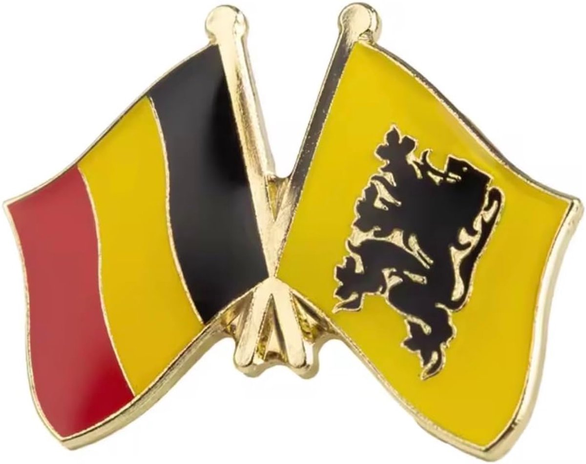 Vlaanderen Belgische vriendschap Metalen Land Vlaggen Pin Badge