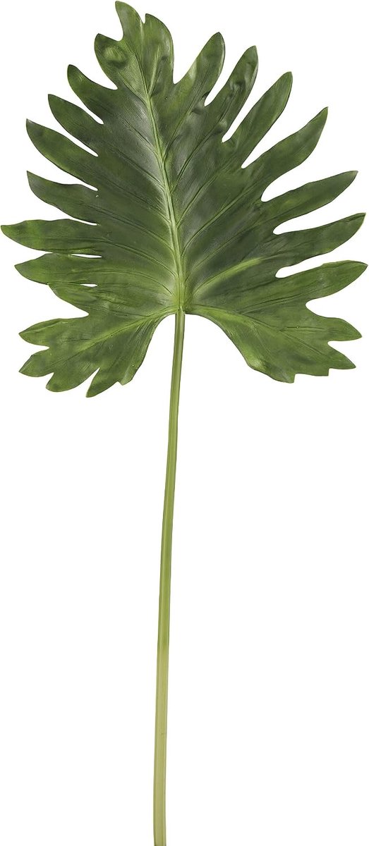 Blad Plastiek Donker Groen
