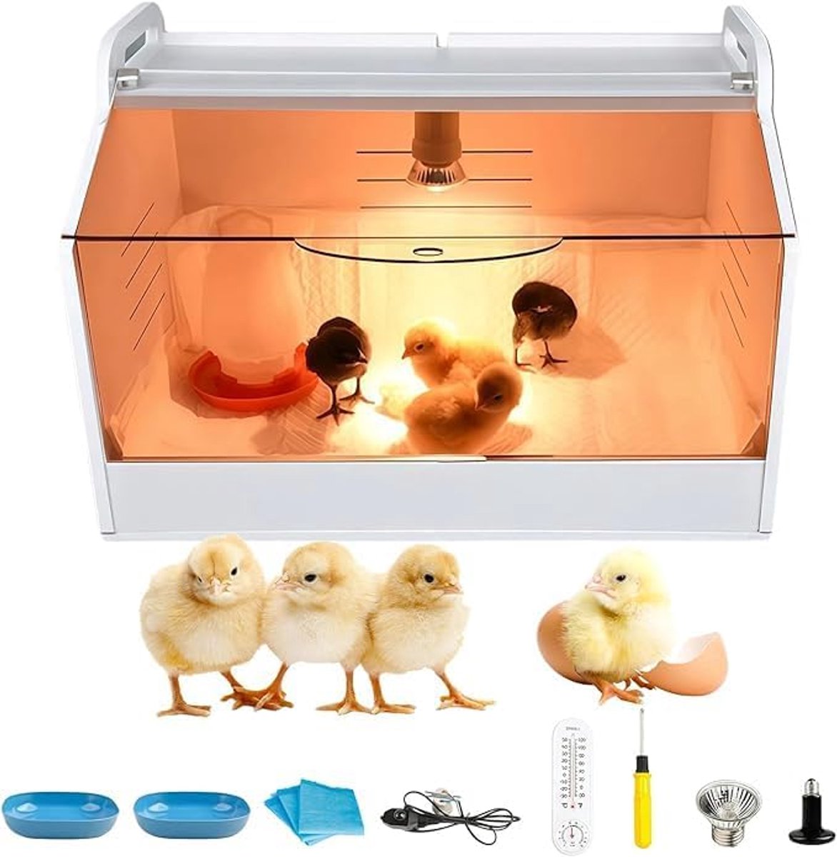 Kuikens, incubator, kuikenhuis met thermometer en warmtelamp, kijkvenster voor gevogelte, reptielen, kleine dieren