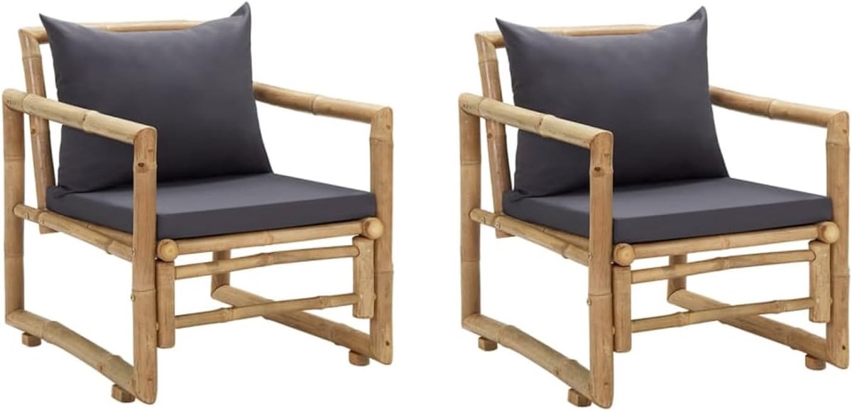 Tuinstoelen met kussen, 2 stuks, van bamboe