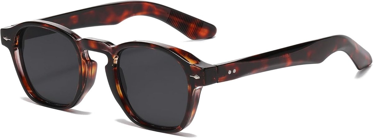 Zonnebril met dik frame, klassieke ronde zonnebril voor dames en heren, UV400-bescherming