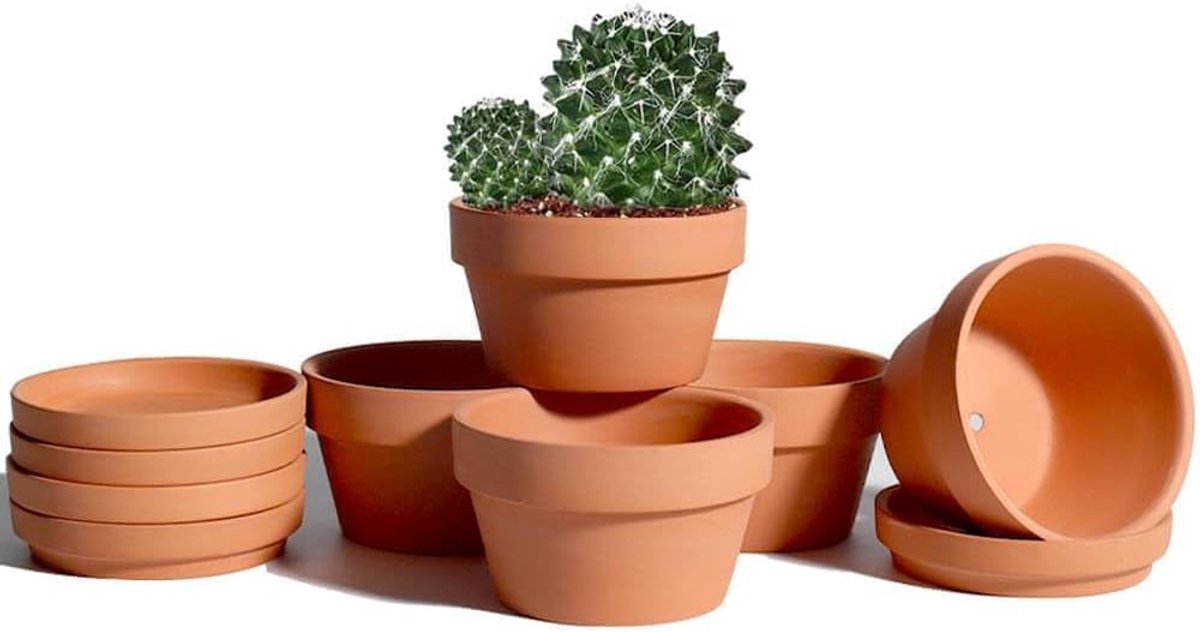 vensovo 14.5 cm Terracotta Ondiepe Succulent Pot - 6 Pack Terracotta Klei Potten met Schotel, Cacuts Terra-Cotta Indoor en Outdoor Plantenpotten met Drainagegat