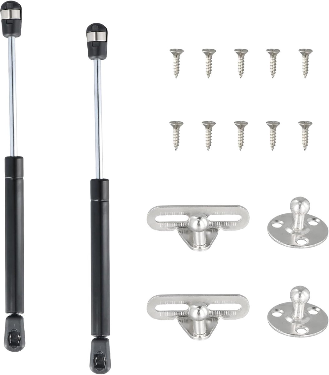 Dailygoods- Gasveer 200N - 2 Stuks - Hydraulische Gassteun - Geschikt voor Kledingkast - Zwart - Maximaal Draagvermogen 20 kg - Gasdrukveer