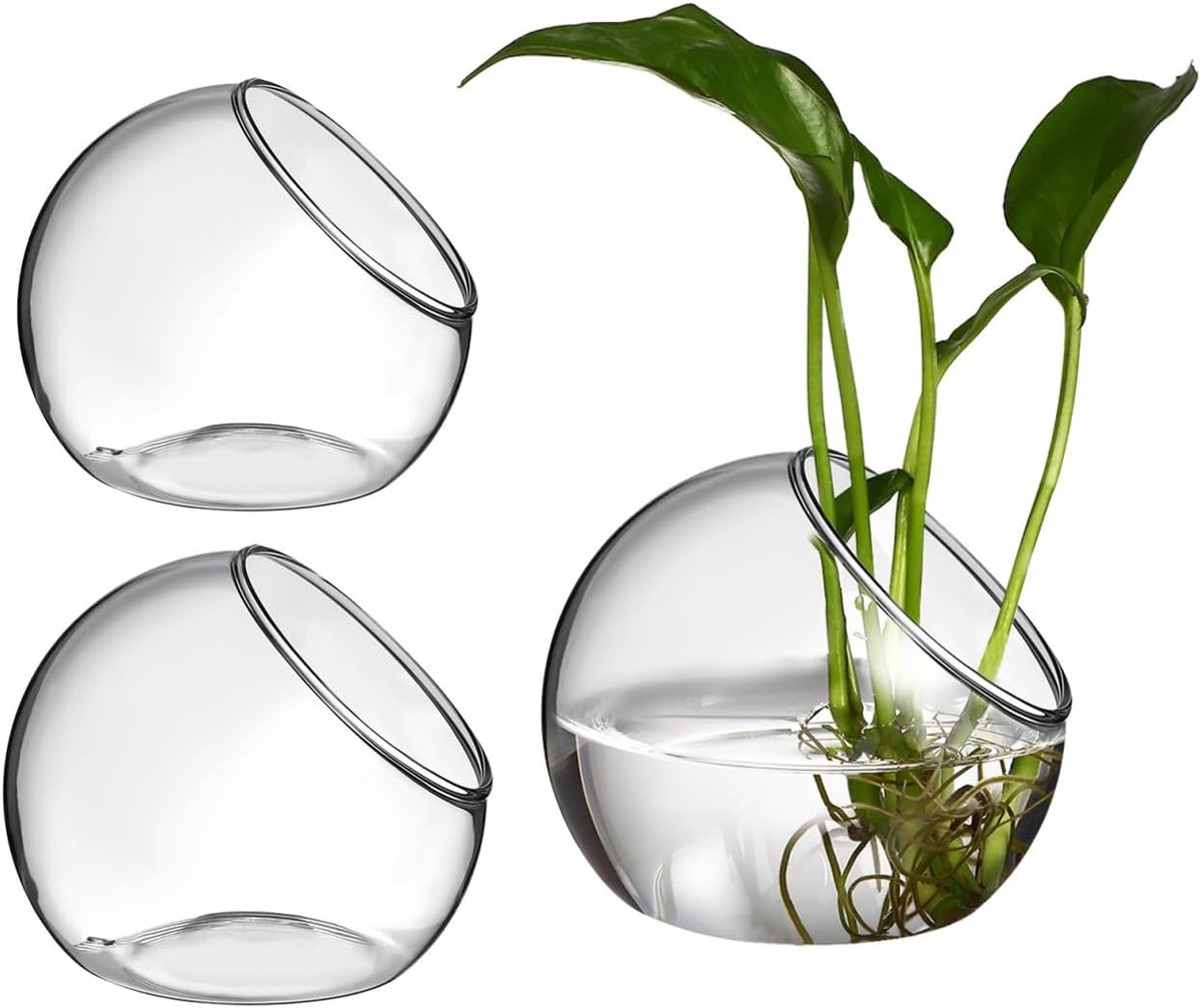 Set van 3 glazen terrarium (8/10/12 cm), schuine kogelvazen voor vetplanten en luchtplanten, glazen container voor hydrocultuur, decoratieve tafeldecoratie voor kantoor en thuis