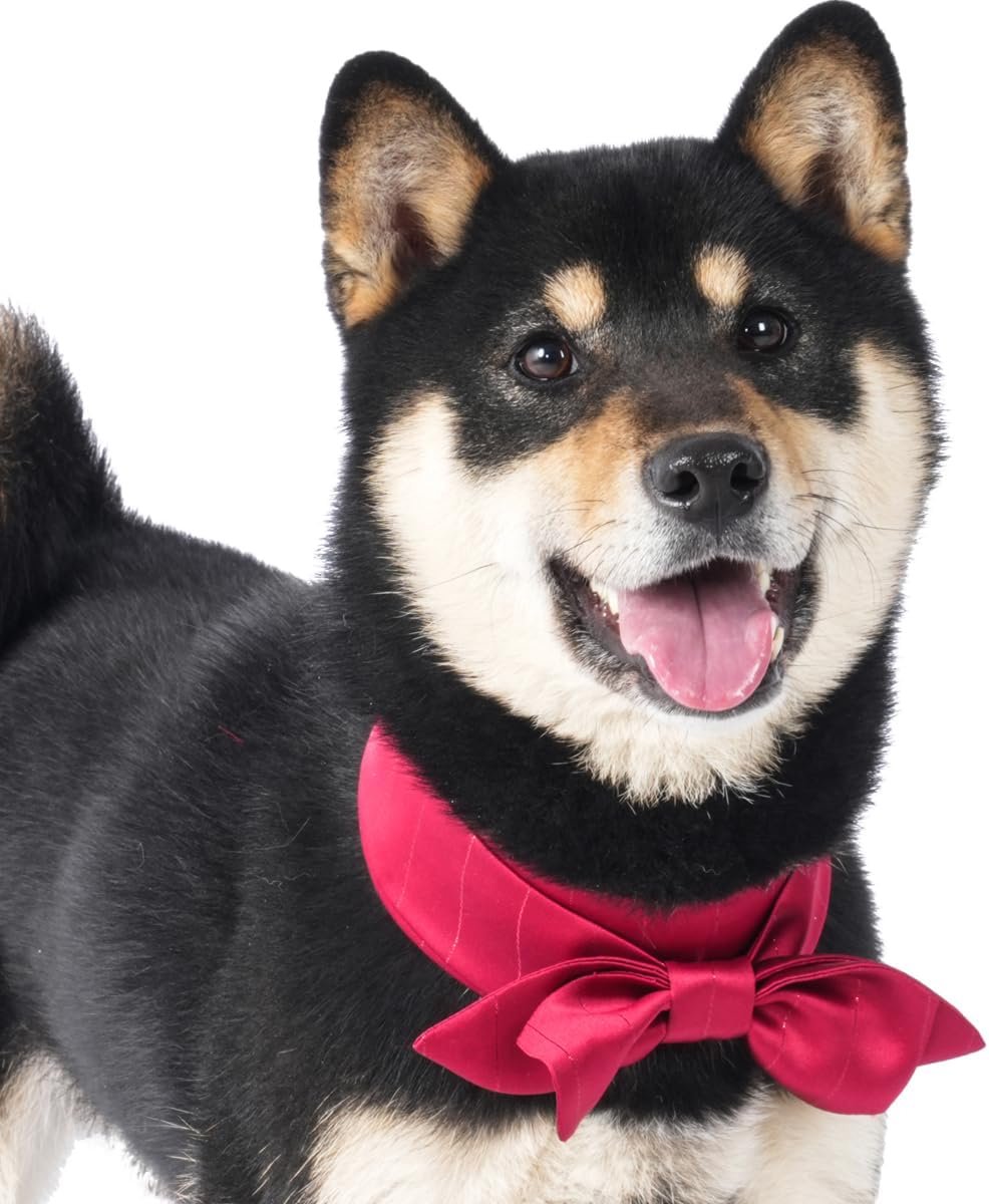 Pet Bow Tie Collar, Bourgondië Rood Satijn, Formele Hond Kat Accessoire