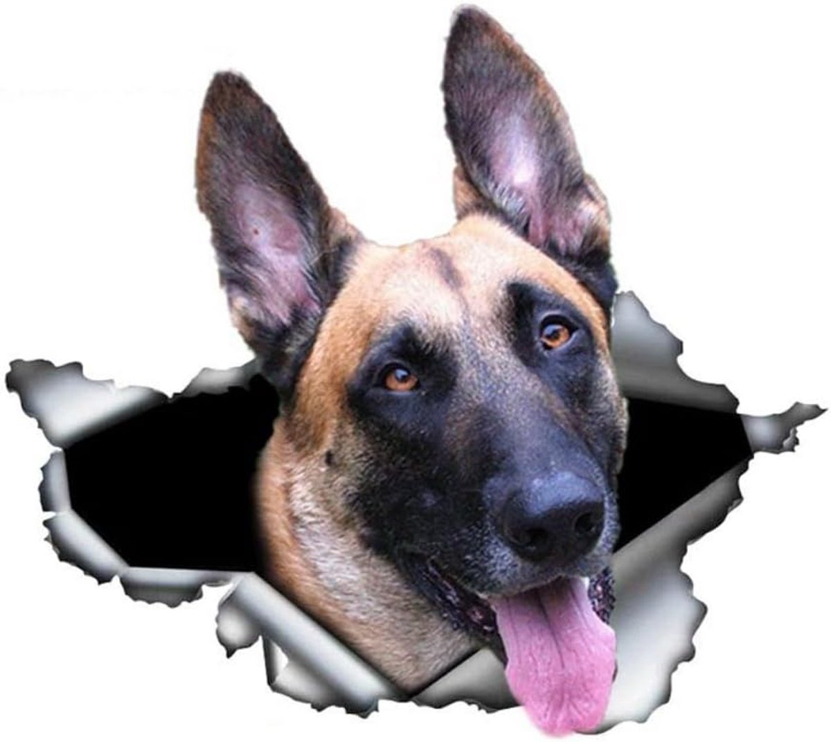 Malinois stickers, waterdicht, reflecterend, 3D-gescheurd effect, voor auto, laptop, koelkast, bumper, raam en huisdecoratie (22 cm)